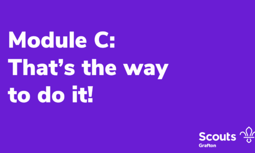 Module C – That’s the way to do it!