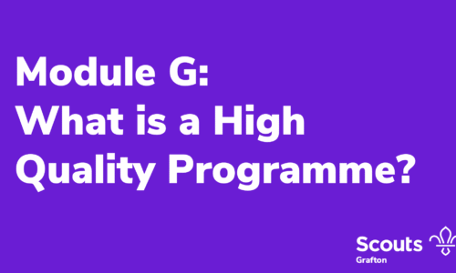 Module G – What is a High Quality Programme?
